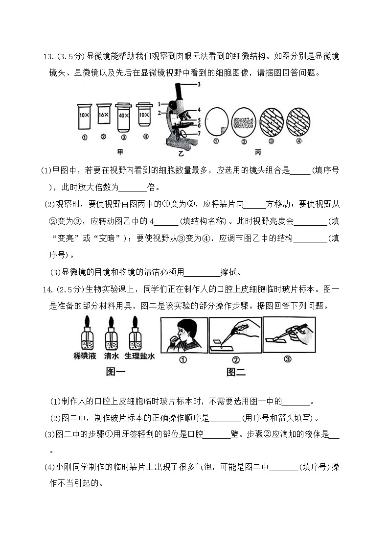 辽宁省沈阳市铁西区2025-2026学年七年级上学期11月期中考试生物试题（含答案）第3页