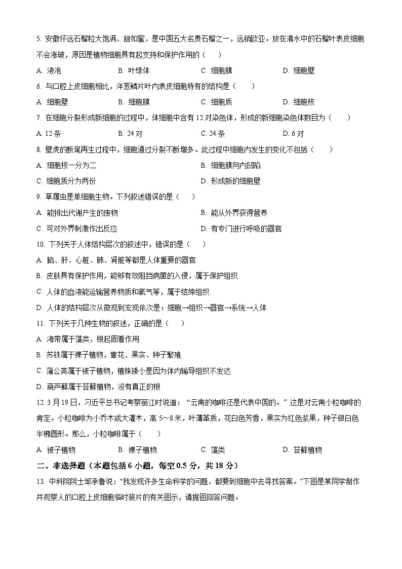 辽宁省沈阳市第七中学2025-2026学年七年级上学期期中生物学试题（含答案）第2页