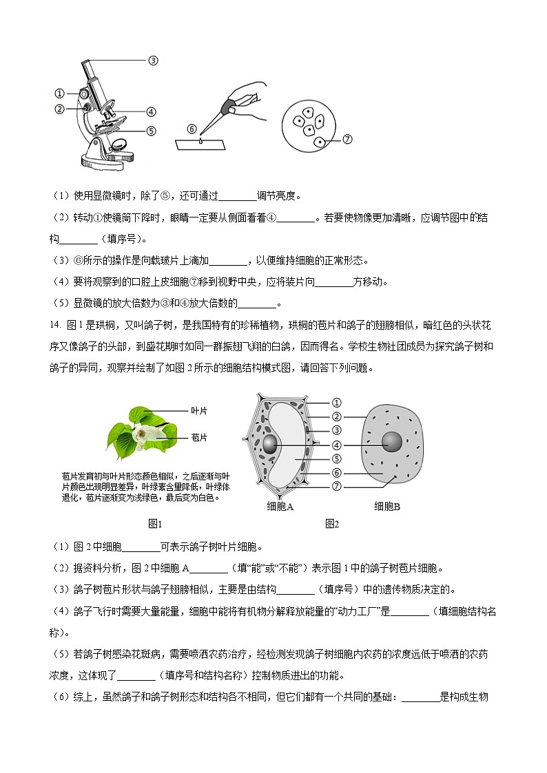 辽宁省沈阳市第七中学2025-2026学年七年级上学期期中生物学试题（含答案）第3页