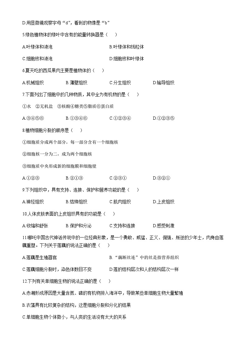 辽宁省葫芦岛市建昌县第一初级中学2025-2026学年七年级上学期期中生物试题(无答案)第2页