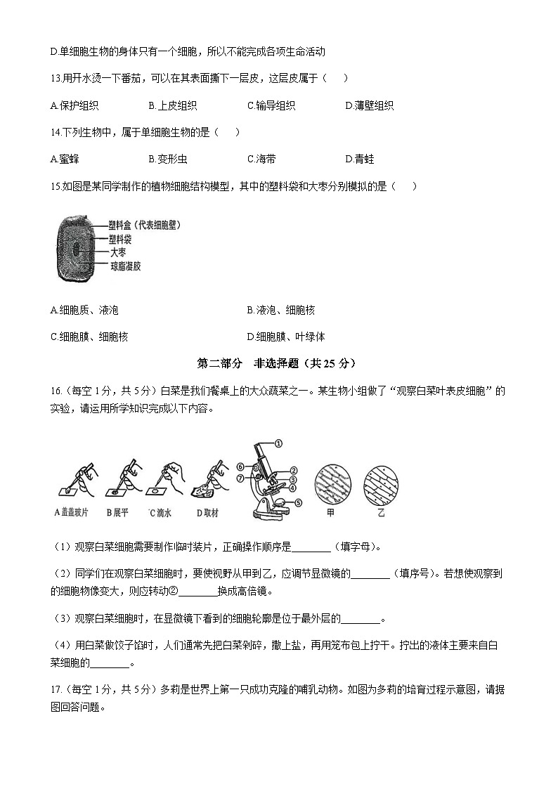 辽宁省葫芦岛市建昌县第一初级中学2025-2026学年七年级上学期期中生物试题(无答案)第3页
