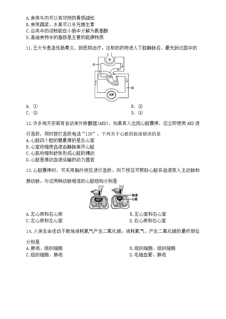 江苏省徐州市2025-2026学年八年级上学期11月期中生物试题（无答案）第3页