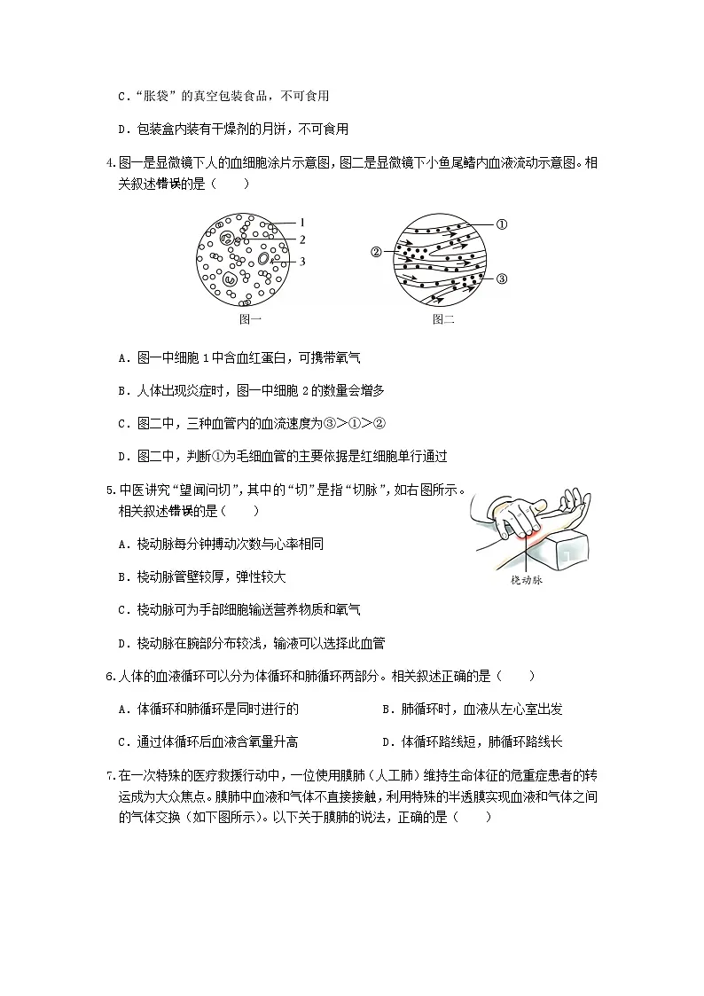 江苏省南通市启东市2025--2026学年八年级上学期生物期中试卷（含答案）第2页