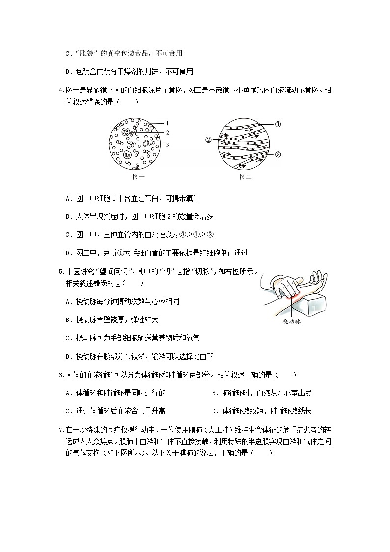 江苏省南通市启东市2025--2026学年八年级上学期生物期中试卷（含答案）第2页