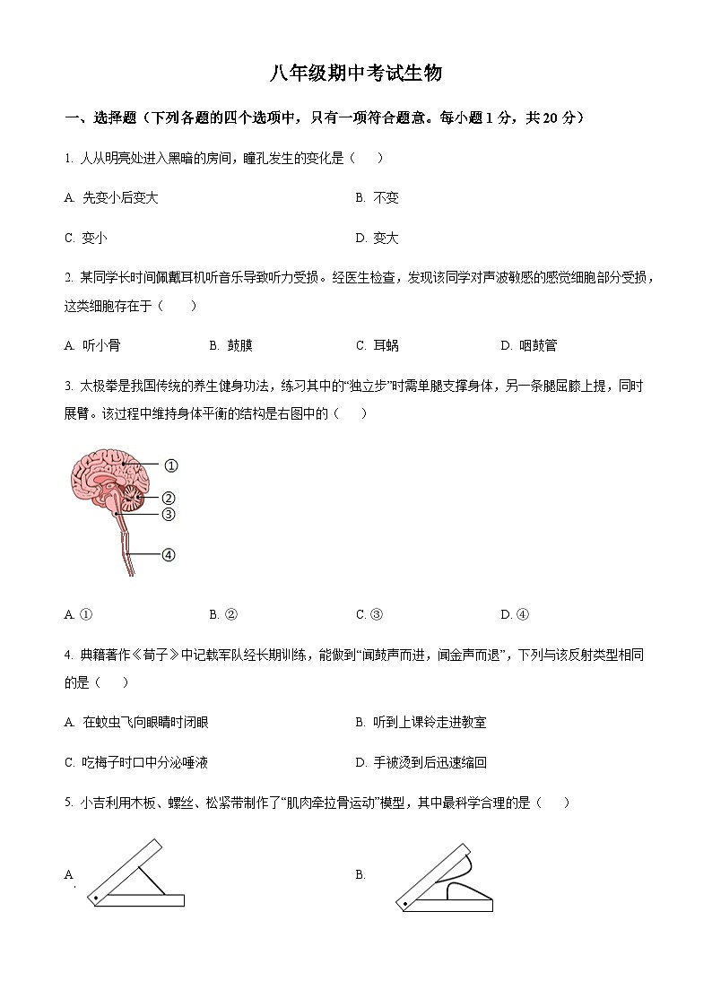 吉林省松原市前郭县2025-2026学年 八年级上学期期中生物试题（含答案）第1页