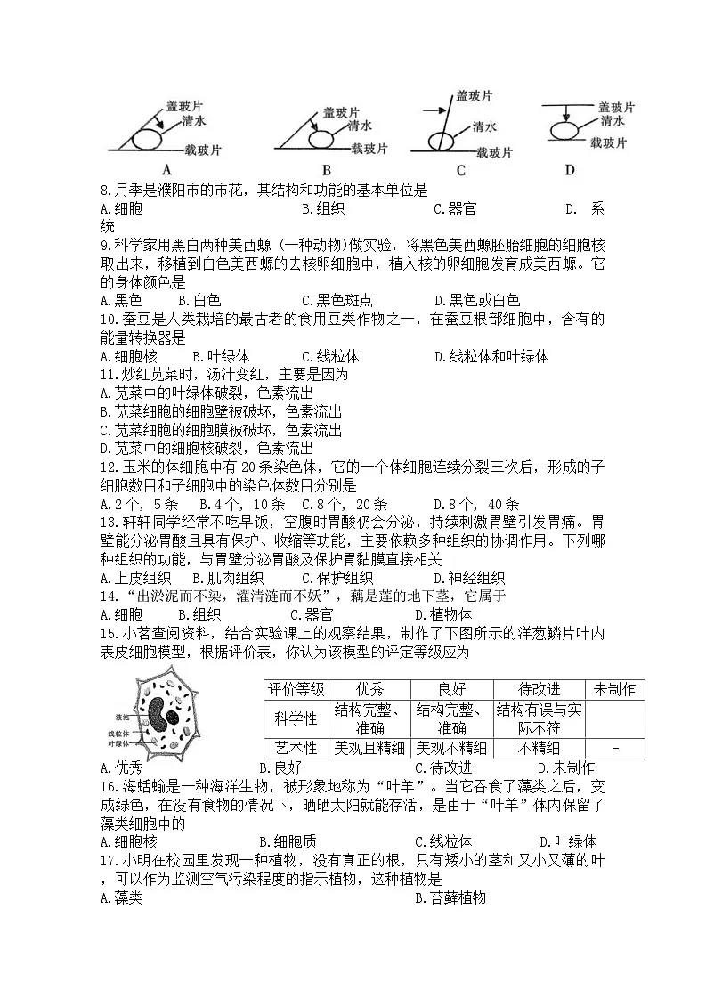 河南省濮阳市2025-2026学年七年级上学期期中生物学试题（含答案）第2页