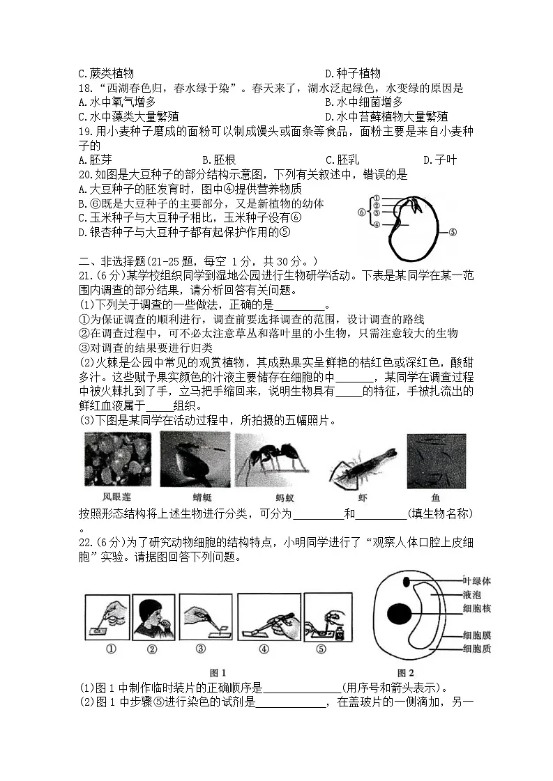 河南省濮阳市2025-2026学年七年级上学期期中生物学试题（含答案）第3页
