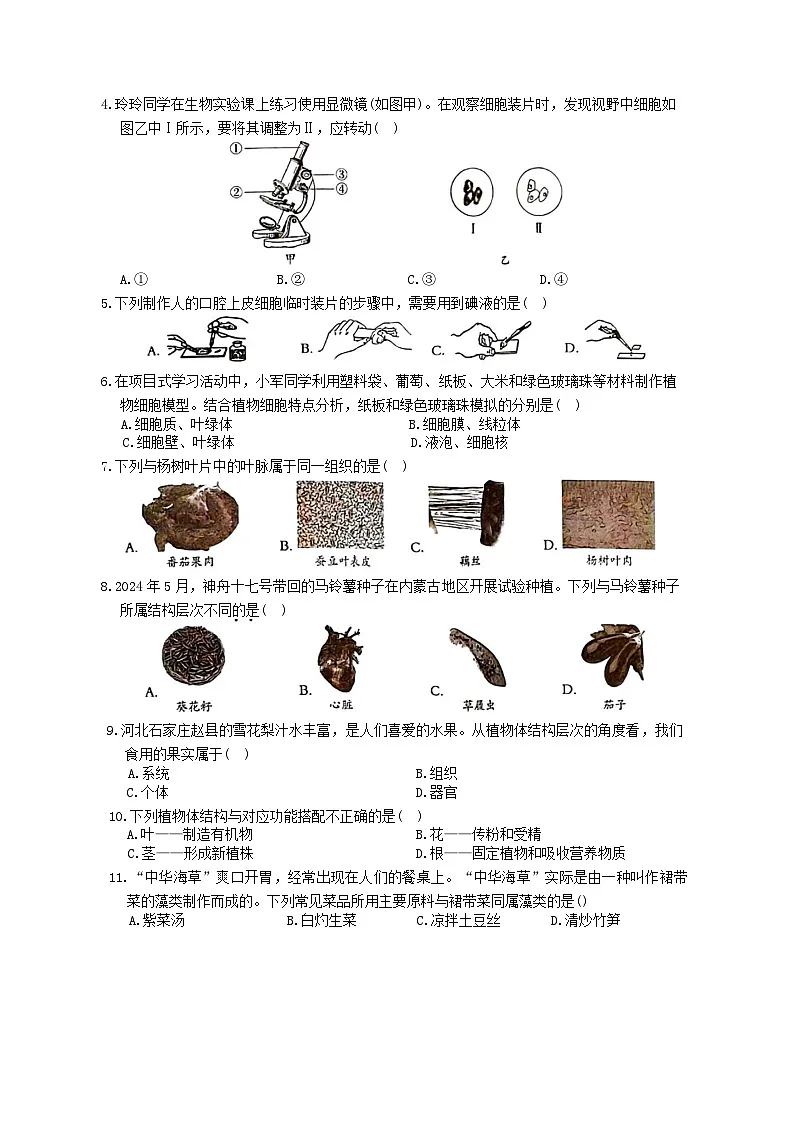 河北省保定市阜平县2025-2026学年七年级上学期11月期中生物试题（含答案）第2页