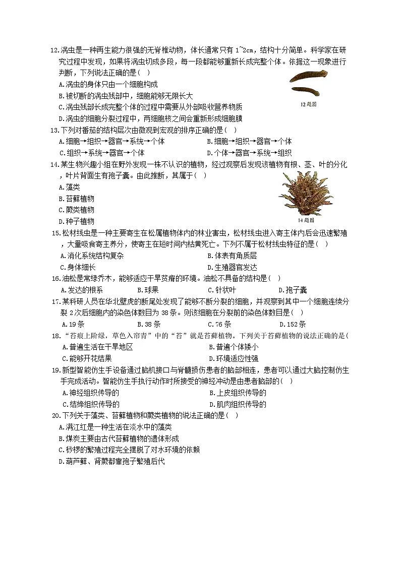 河北省保定市阜平县2025-2026学年七年级上学期11月期中生物试题（含答案）第3页