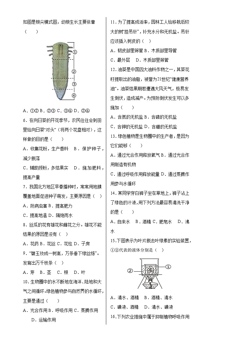 七年级生物期中模拟卷【测试范围：人教版2024七下第3单元~第4单元第1章】（安徽专用）（考试版A3）-A4第2页