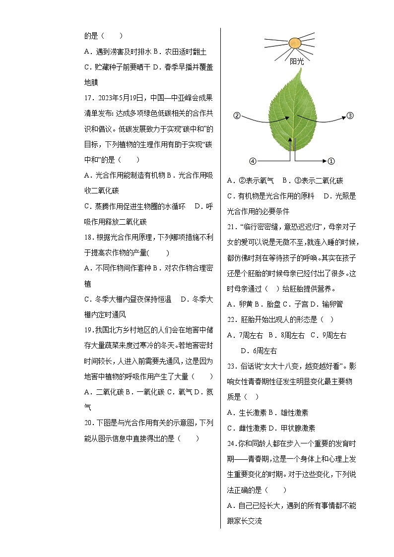 七年级生物期中模拟卷【测试范围：人教版2024七下第3单元~第4单元第1章】（安徽专用）（考试版A3）-A4第3页