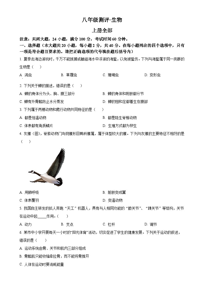 安徽省合肥市长丰区2八年级上学期期末生物试题（原卷版）-A4第1页