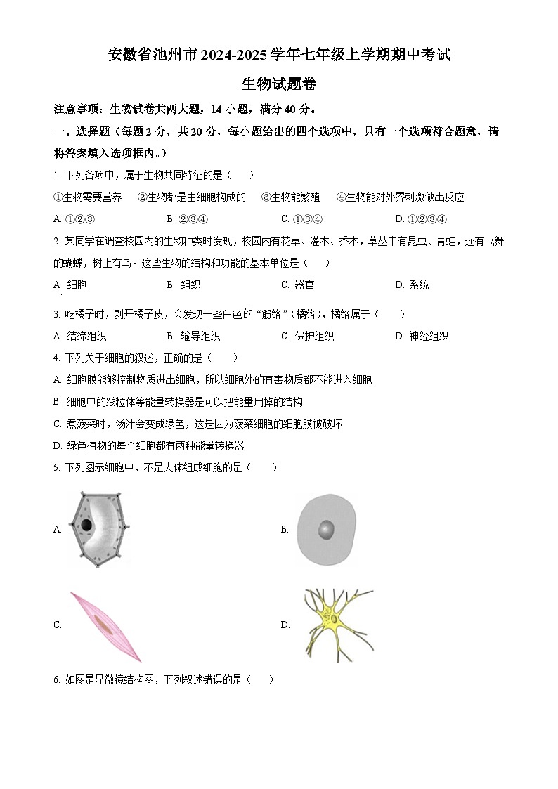 安徽省池州市2七年级上学期期中生物试题（原卷版）-A4第1页