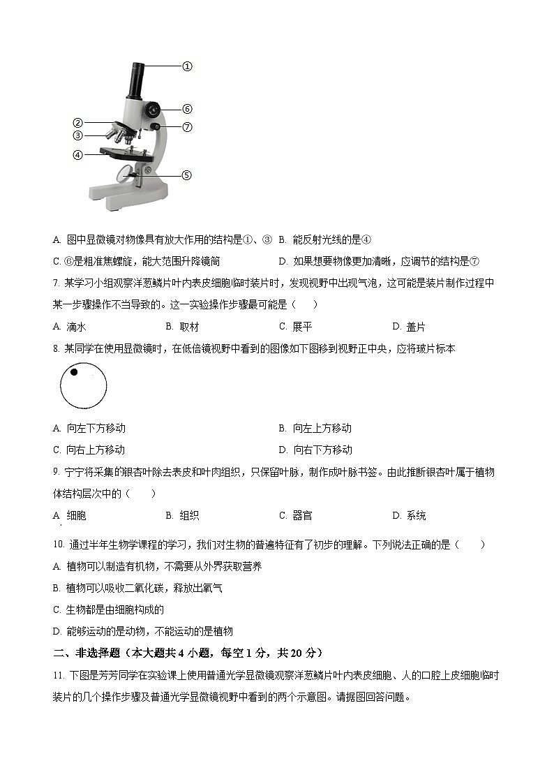 安徽省池州市2七年级上学期期中生物试题（原卷版）-A4第2页