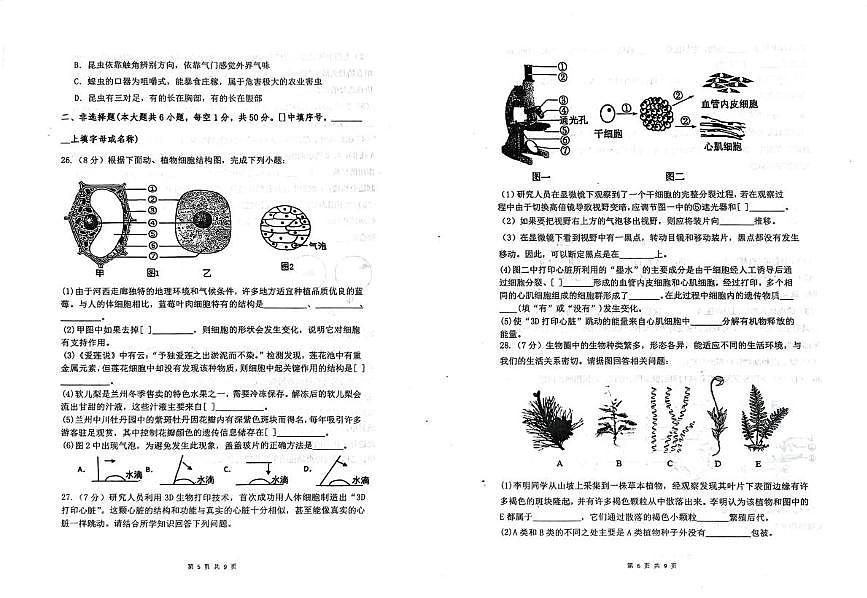 山东省德州市第九中学2025-2026学年七年级上学期期中生物试题第3页