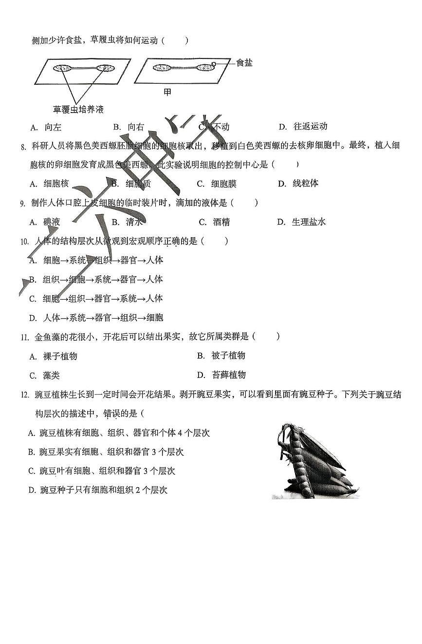 辽宁省沈阳市第一二六中学教育集团2025-2026学年七年级上学期11月期中考试生物试卷第2页