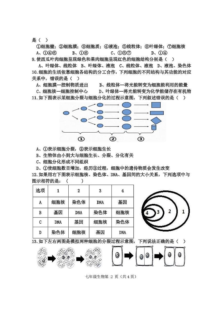 四川省乐山市马边彝族自治县桐华学校2025-2026学年七年级上学期11月期中生物试题第2页