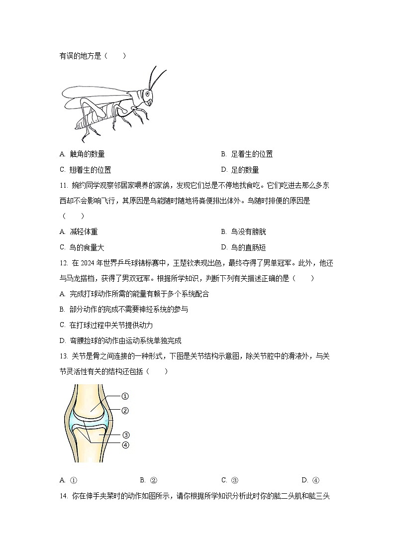河南省郑州市中牟县2024-2025学年八年级上学期期中生物试卷（学生版）第3页