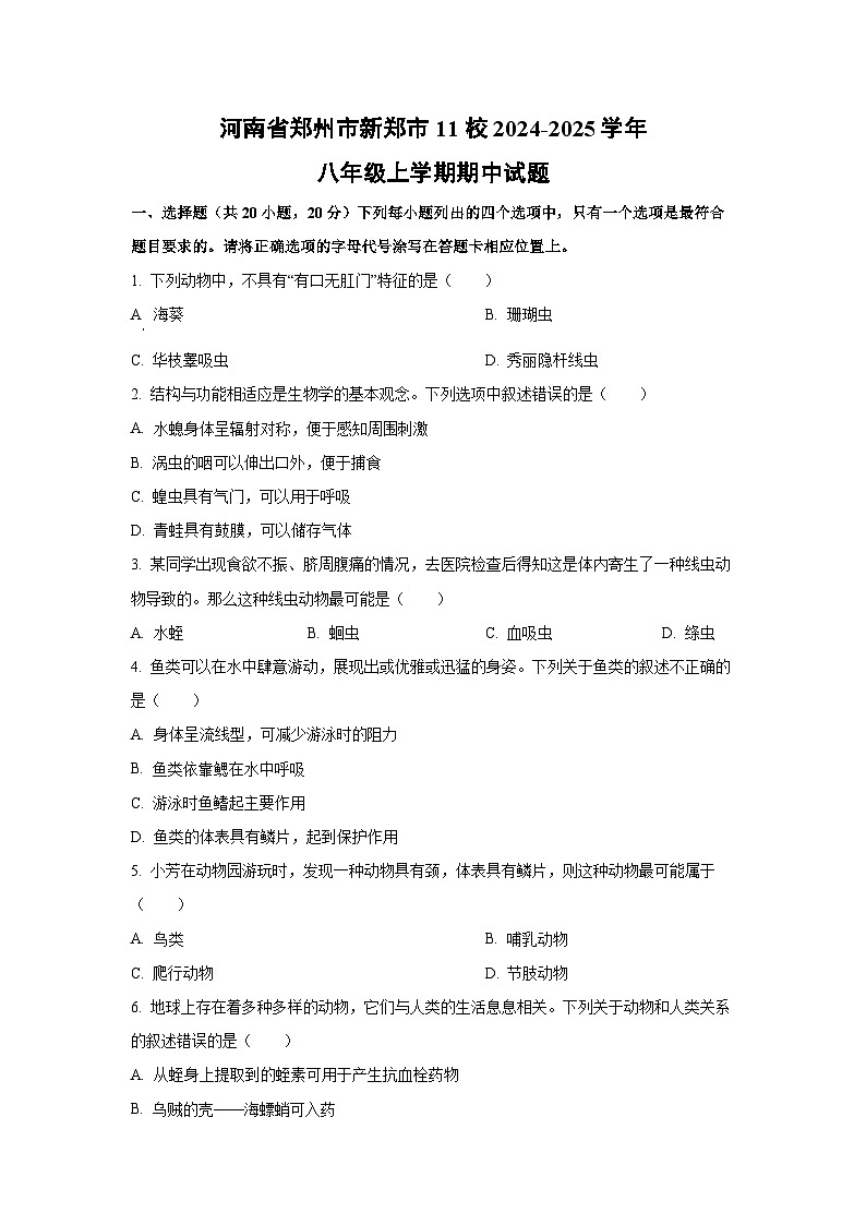 河南省郑州市新郑市11校2024-2025学年八年级上学期期中生物试卷（学生版）第1页