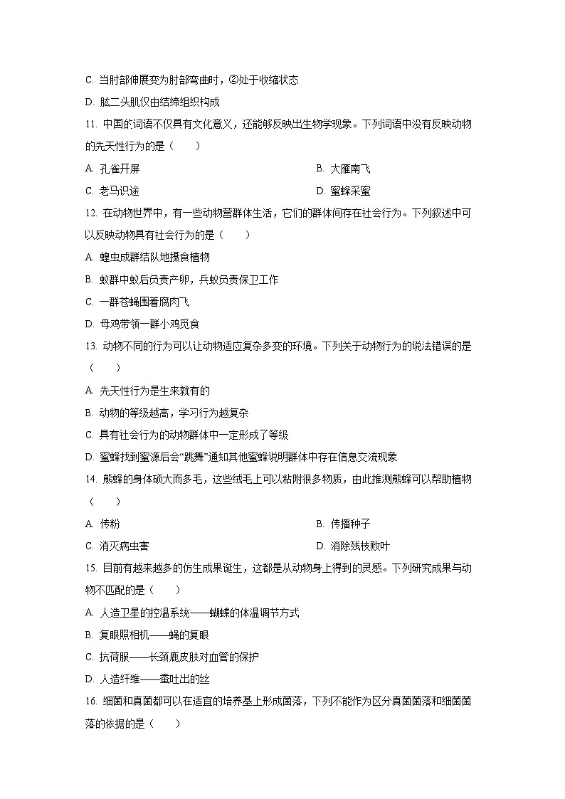 河南省郑州市新郑市11校2024-2025学年八年级上学期期中生物试卷（学生版）第3页