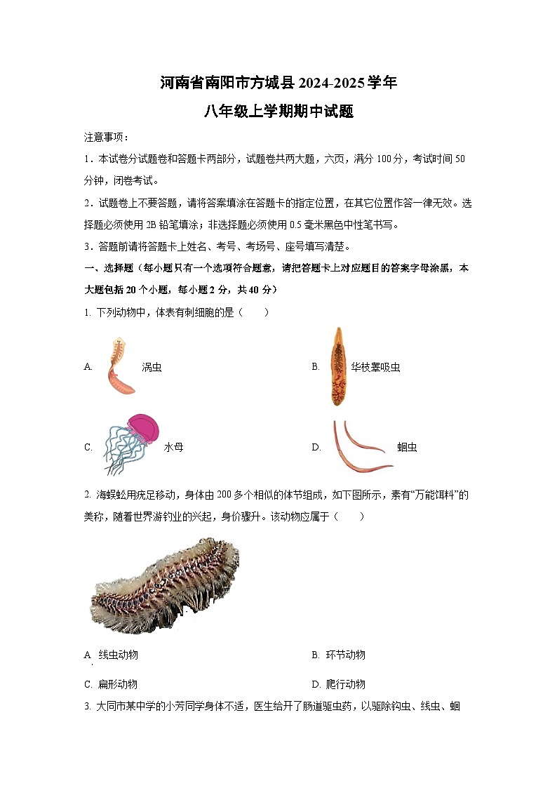 河南省南阳市方城县2024-2025学年八年级上学期期中生物试卷（学生版）第1页
