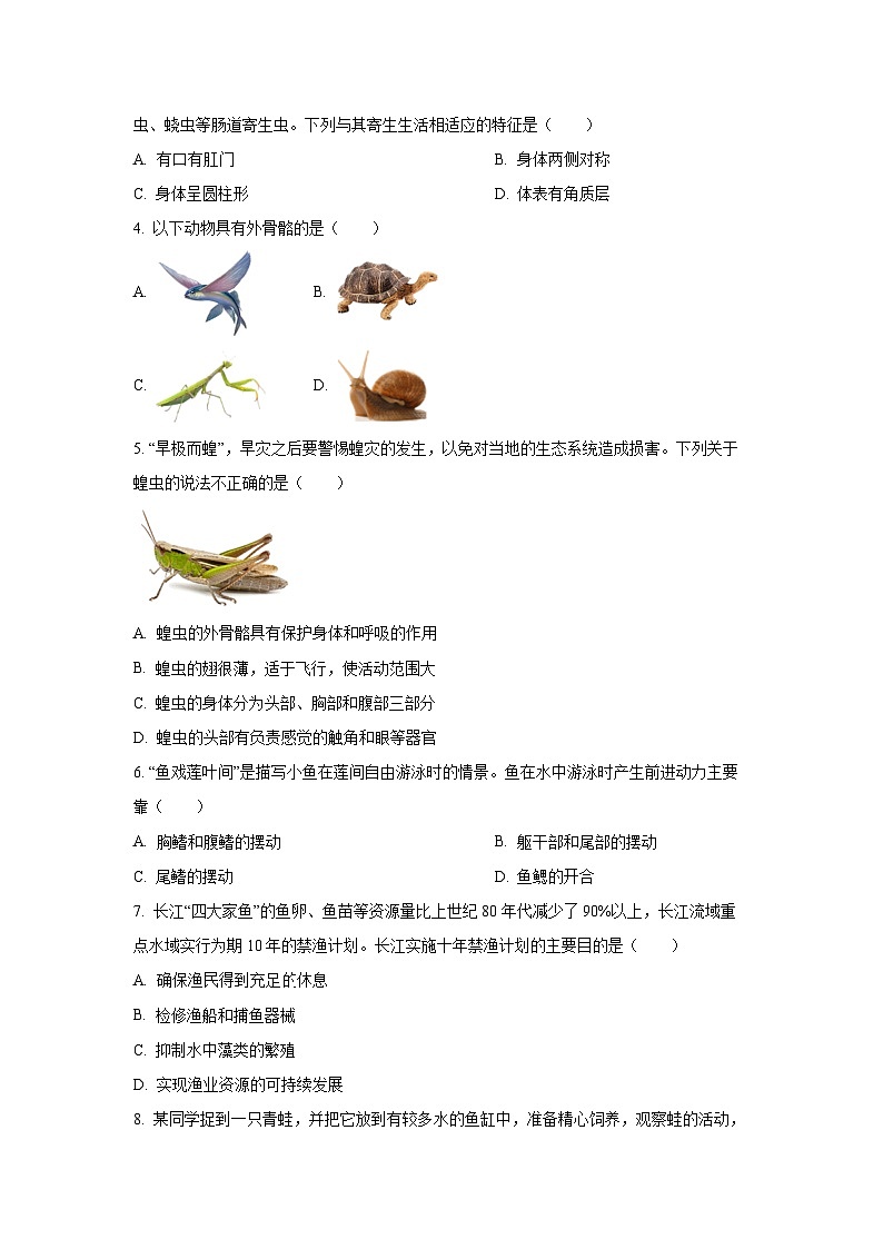 河南省南阳市方城县2024-2025学年八年级上学期期中生物试卷（学生版）第2页