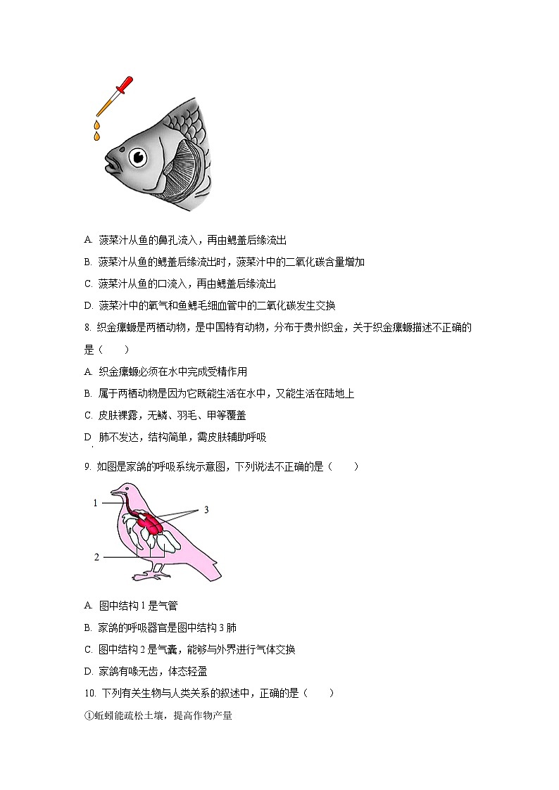 河南省漯河市召陵区2024-2025学年八年级上学期期中生物试卷（学生版）第2页
