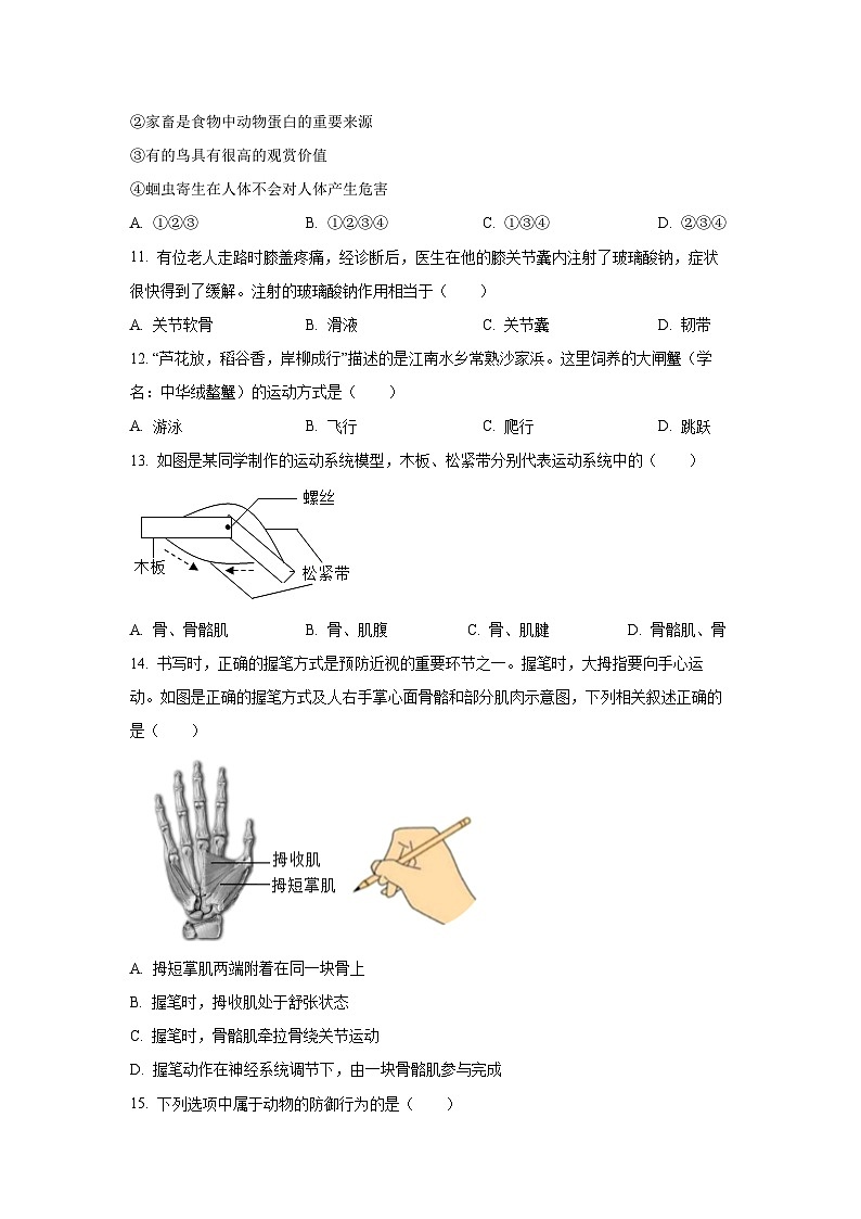 河南省漯河市召陵区2024-2025学年八年级上学期期中生物试卷（学生版）第3页