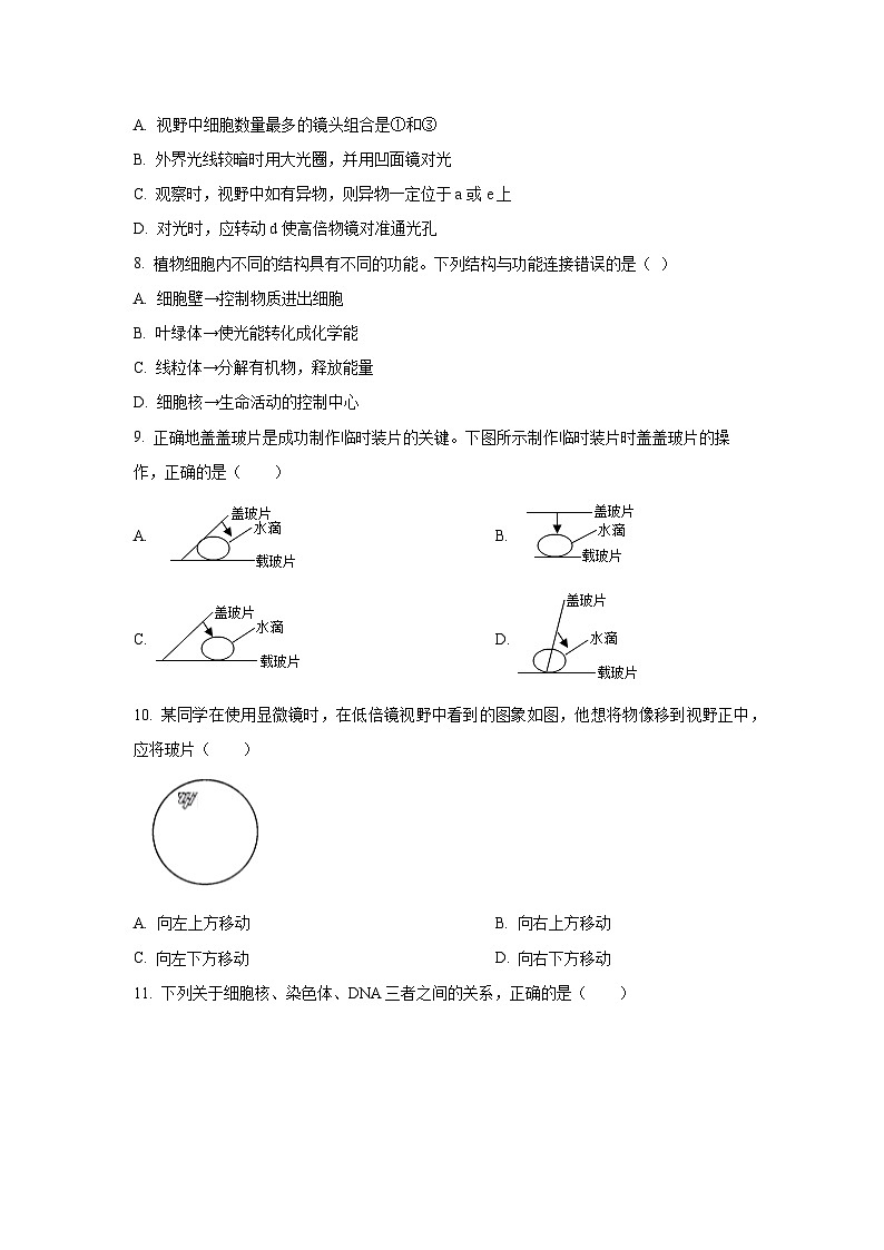 福建省漳州市诏安县2024-2025学年七年级上学期期中生物试卷（学生版）第2页