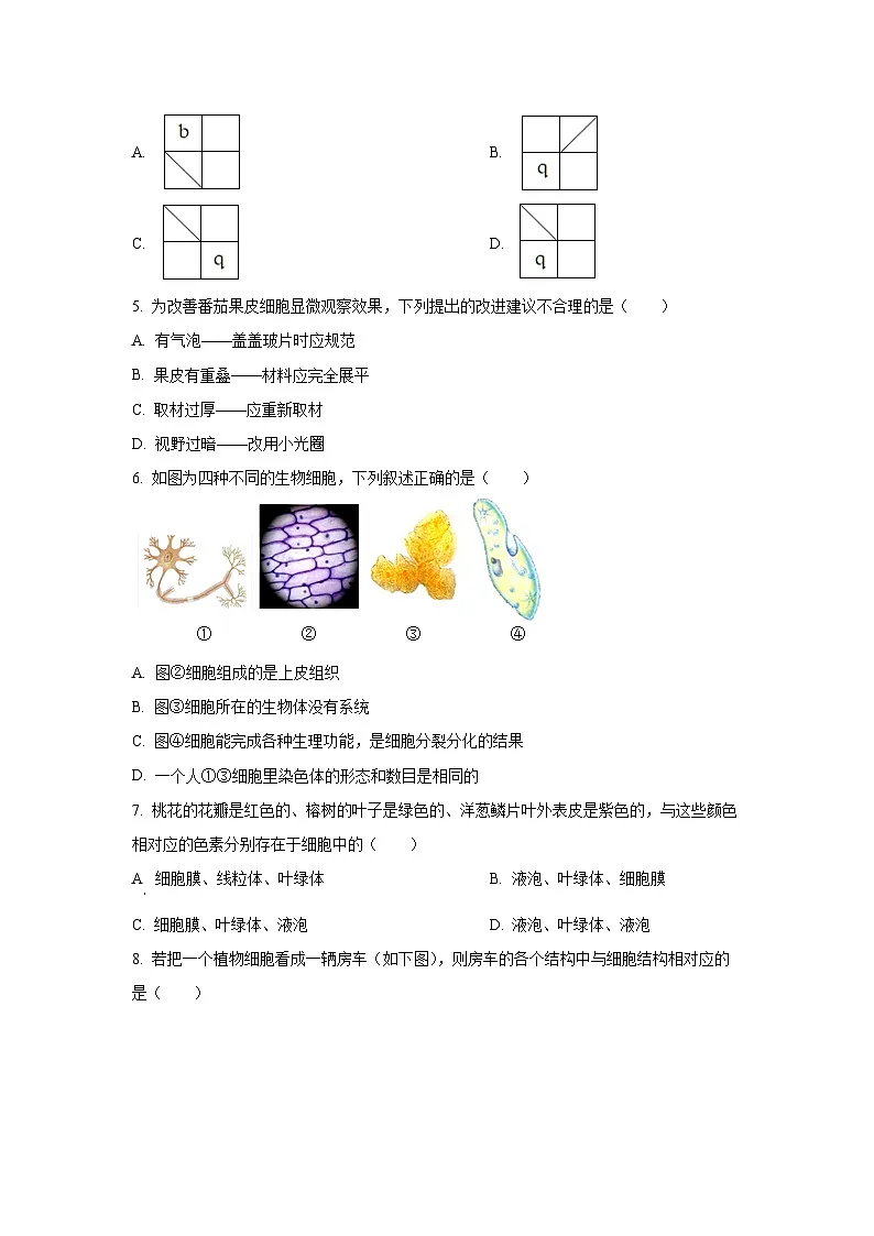 内蒙古自治区通辽市科尔沁左翼中旗2025-2026学年七年级上学期期中生物试卷（学生版）第2页