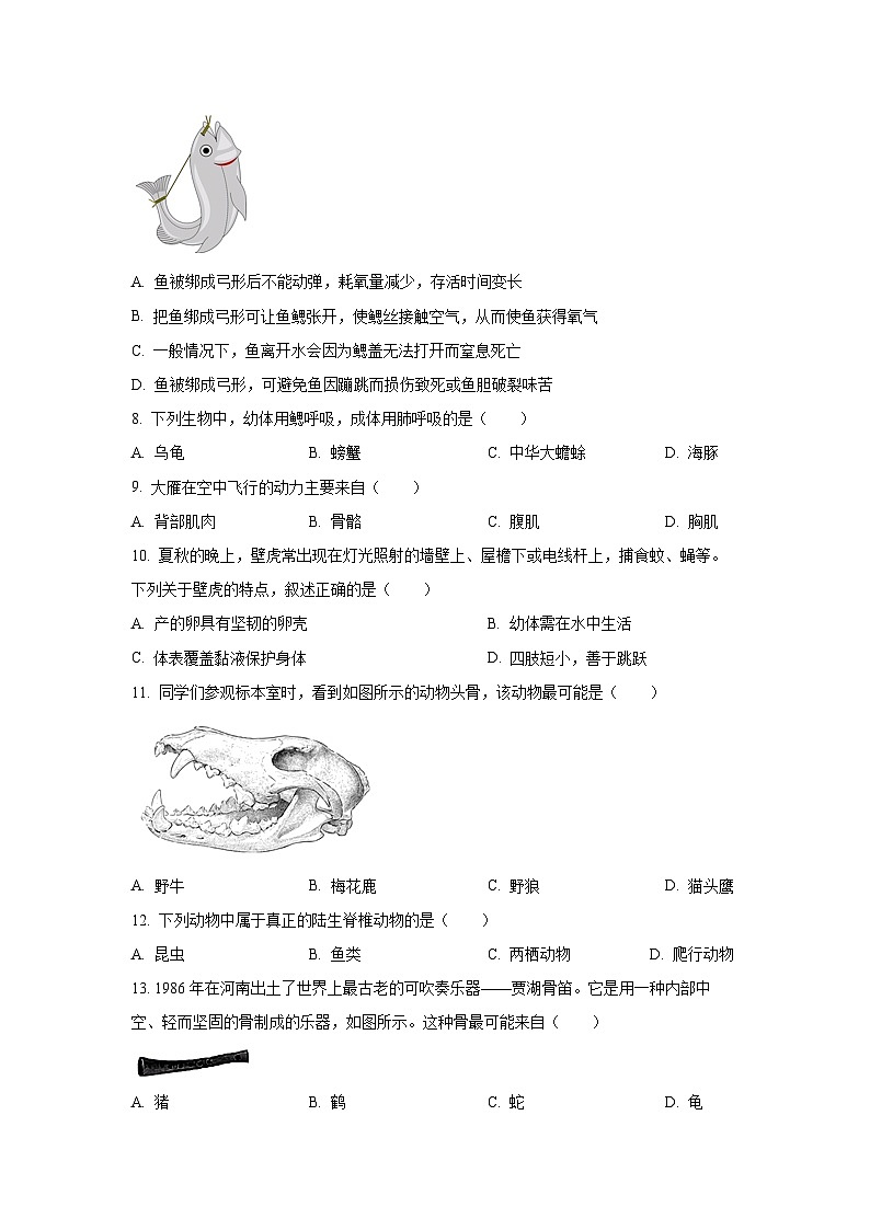 福建省福州市连江县2024-2025学年八年级上学期期中生物试卷（学生版）第2页