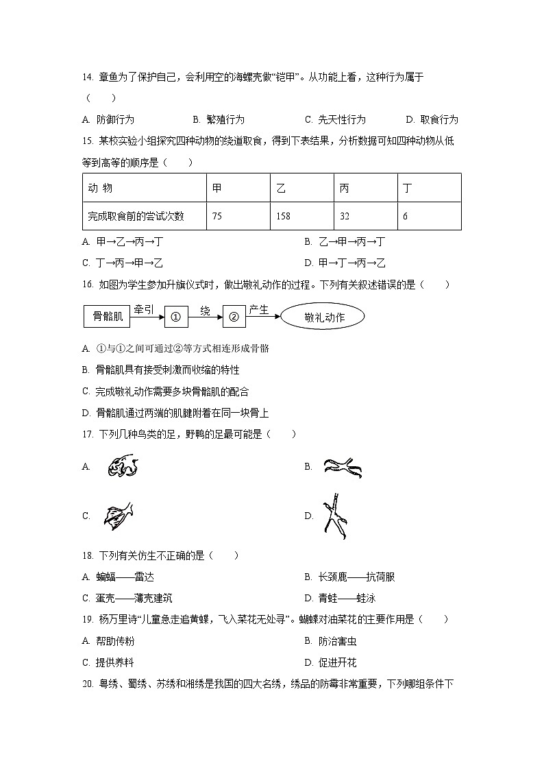 福建省福州市连江县2024-2025学年八年级上学期期中生物试卷（学生版）第3页