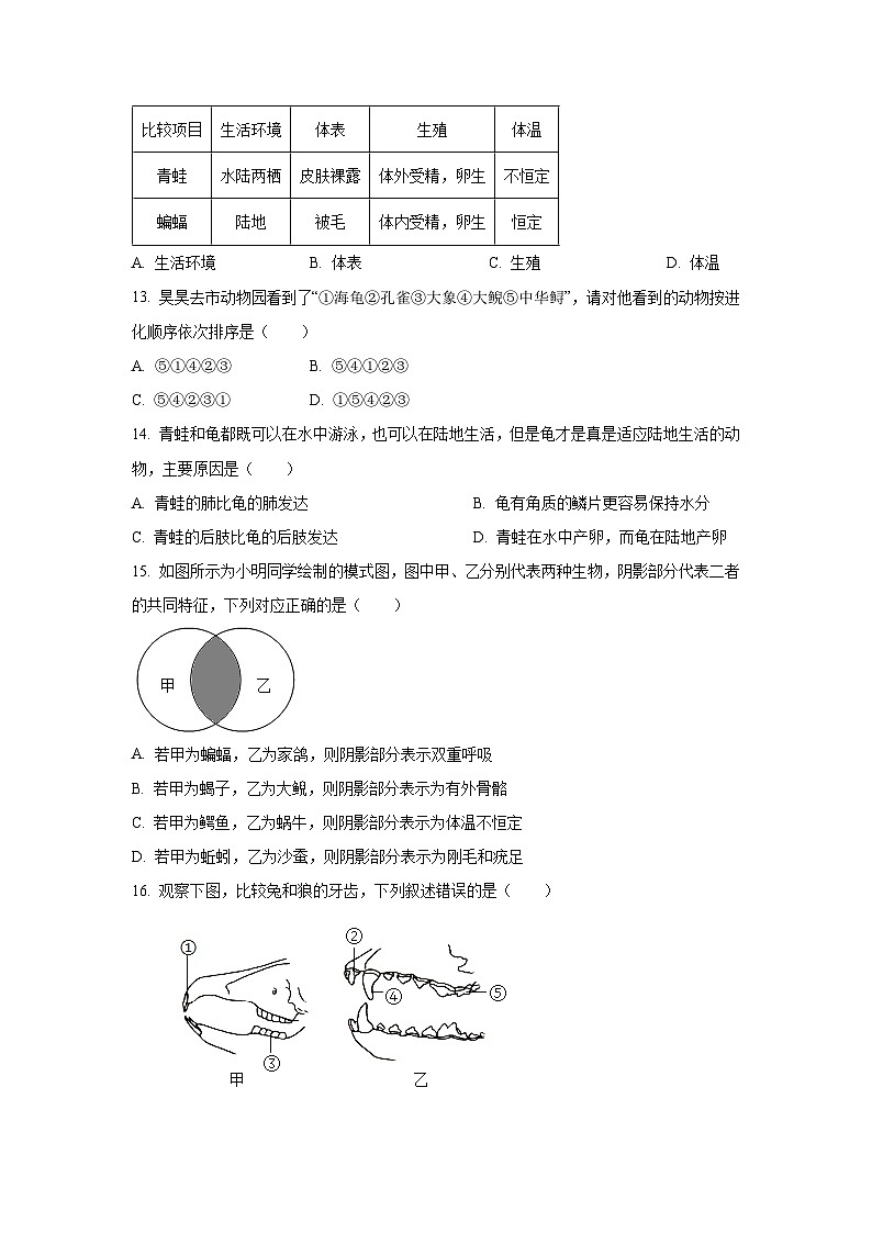 福建省漳州市诏安县2024-2025学年八年级上学期期中生物试卷（学生版）第3页