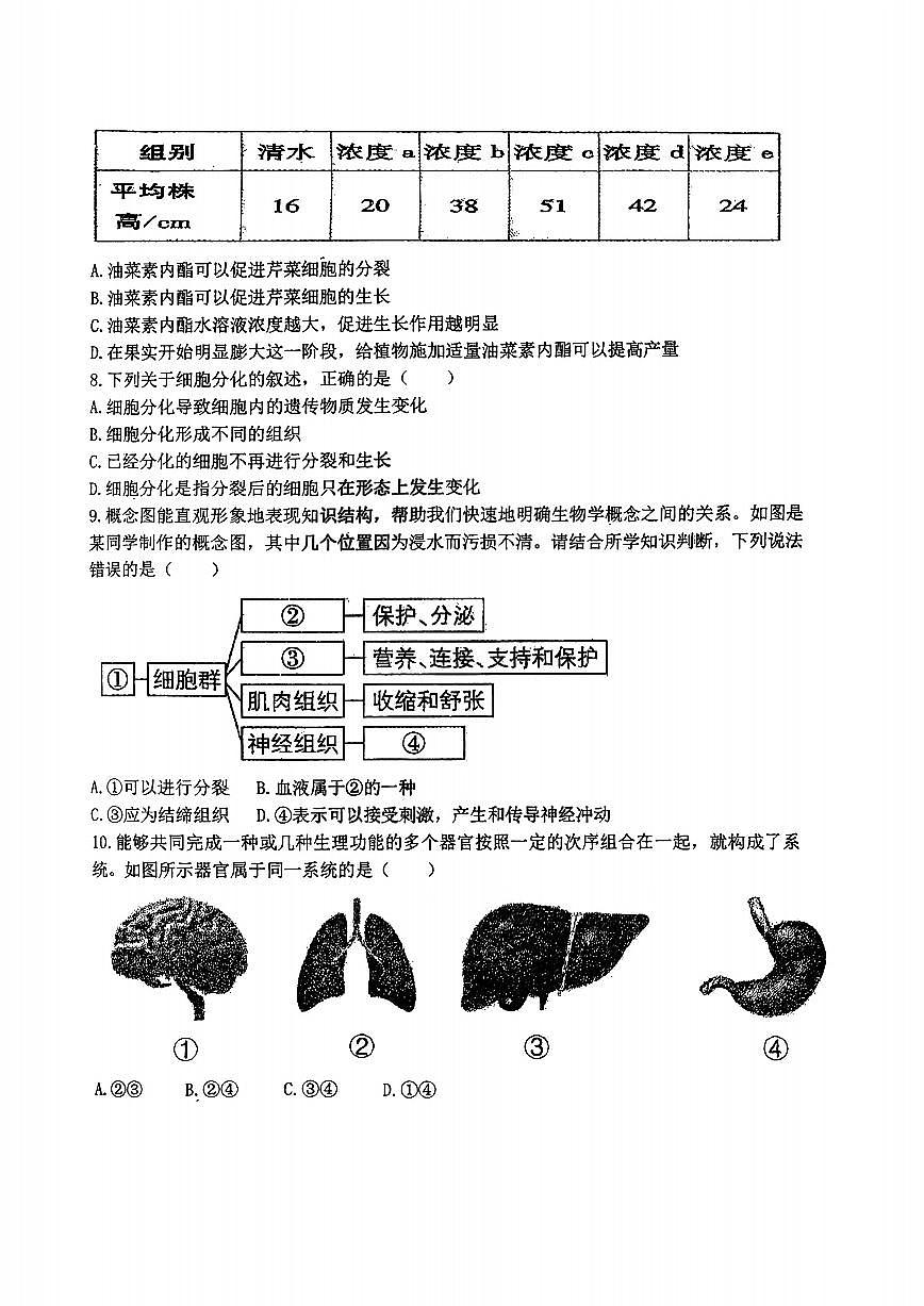 2025年哈尔滨市虹桥中学七年级上学期生物期中试卷及答案第2页