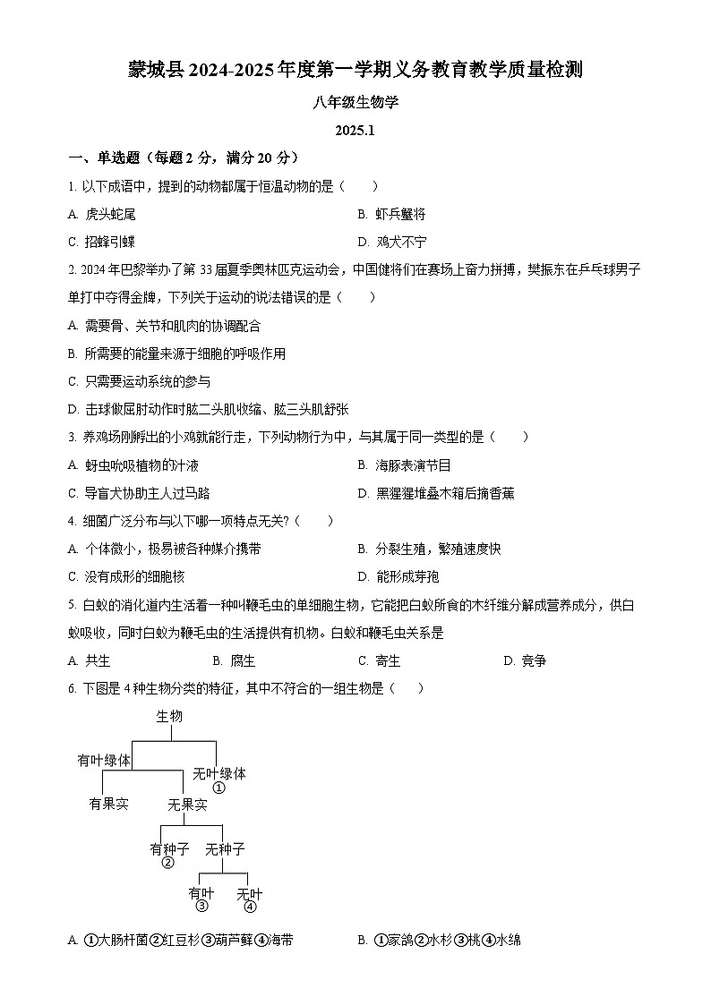 安徽省亳州市蒙城县2八年级上学期期末生物试题（原卷版）-A4第1页