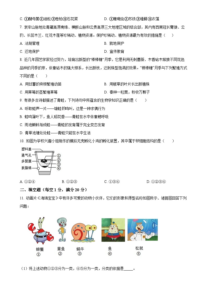安徽省亳州市蒙城县2八年级上学期期末生物试题（原卷版）-A4第2页