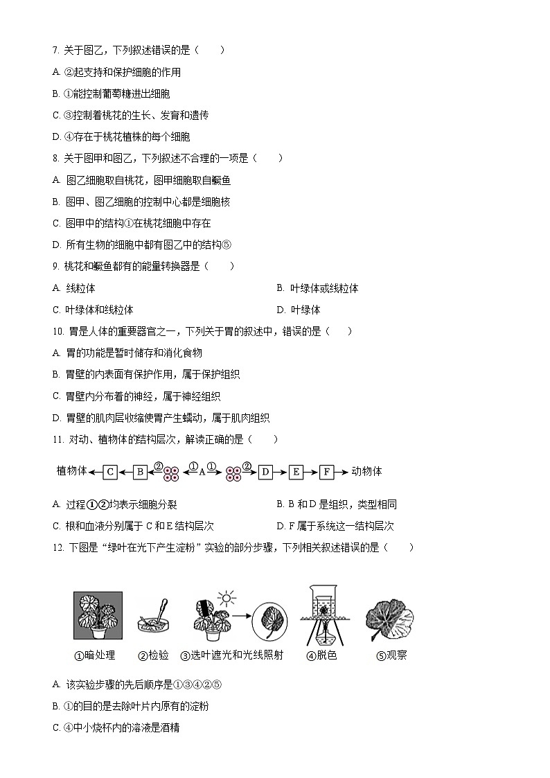 安徽淮南市东部地区2七年级上学期期末生物试题（原卷版）-A4第2页