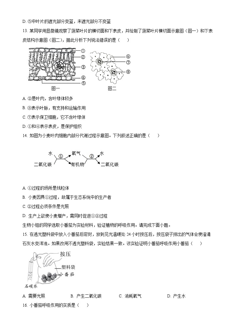 安徽淮南市东部地区2七年级上学期期末生物试题（原卷版）-A4第3页