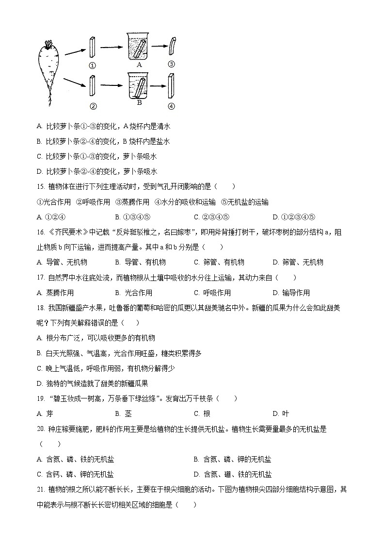 安徽省宿州市萧县十三校联考2七年级上学期期末生物试题（原卷版）-A4第3页