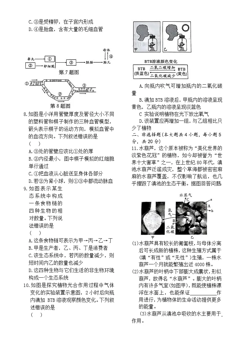 2025年安徽省初中学业水平考试八年级生物模拟卷(一)-A4第2页