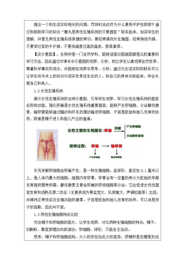人教版初中生物七年级下册（2024）4.1.1 人的生殖【教学设计】第3页