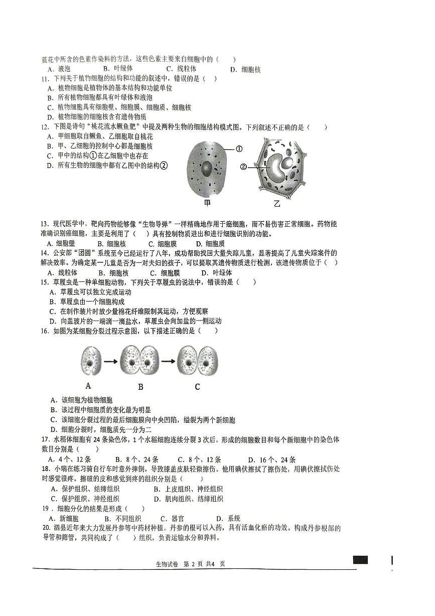 安徽省宿州市泗县2025-2026学年七年级上学期11月期中生物试题第2页