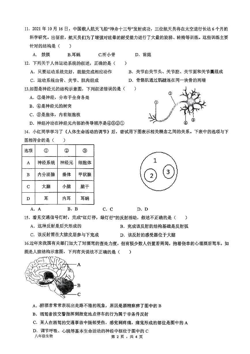 安徽省安庆市大观区外国语学校2025-2026学年八年级上学期11月期中考试生物试题第2页