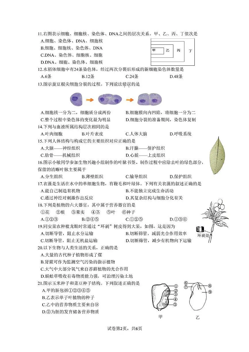 福建省厦门市同安区2025-2026学年七年级上学期期中生物试题第2页