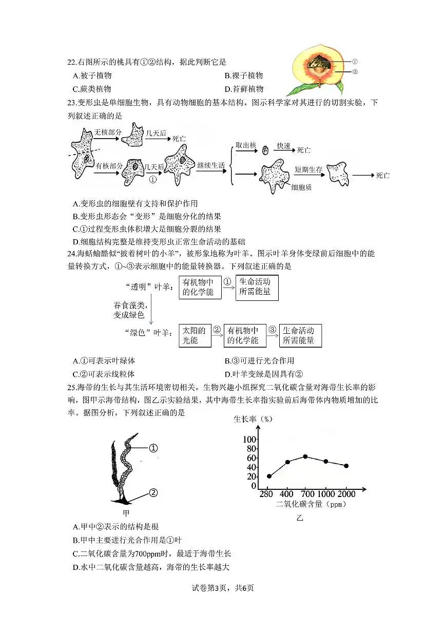 福建省厦门市同安区2025-2026学年七年级上学期期中生物试题第3页