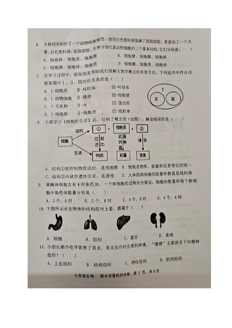 福建省三明市宁化县2025-2026学年七年级上学期期中考试生物试题第2页