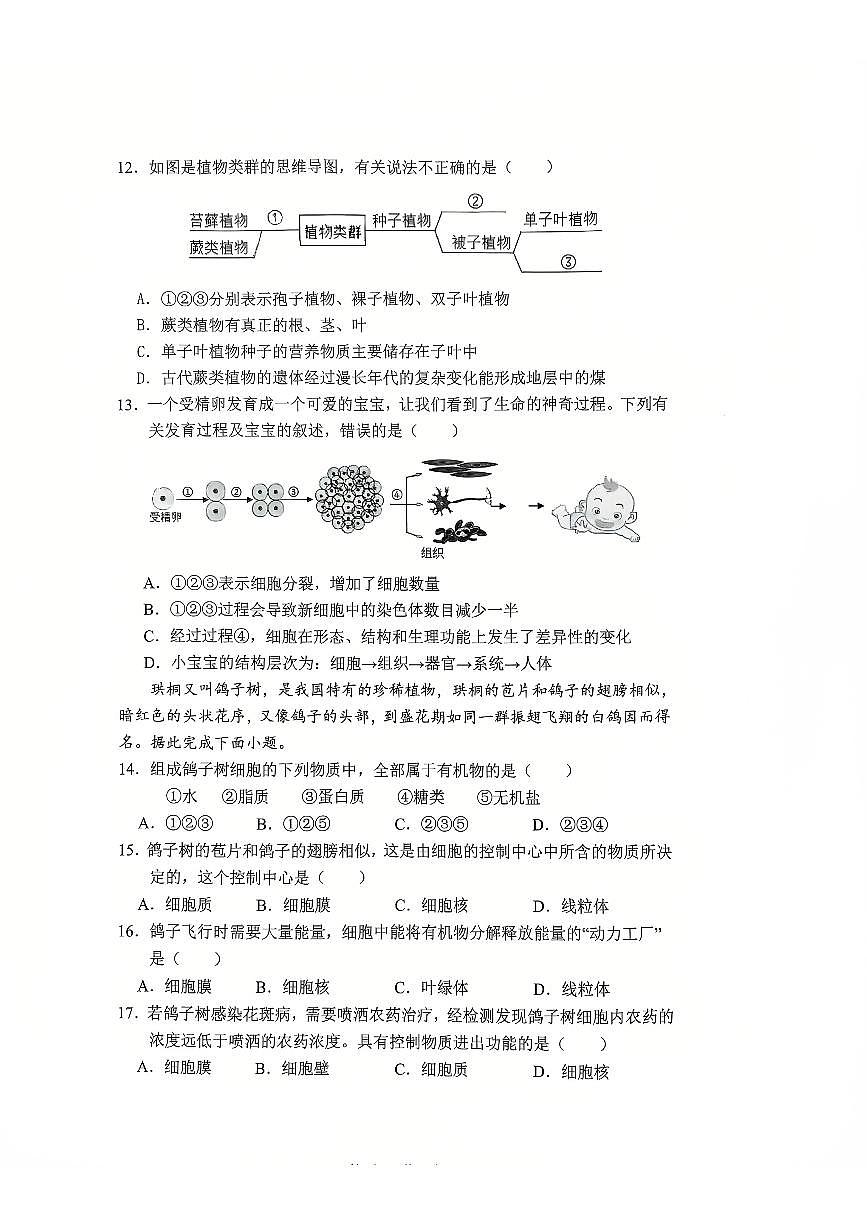 福建省厦门市第九中学2025-2026学年七年级上学期生物期中试卷第3页