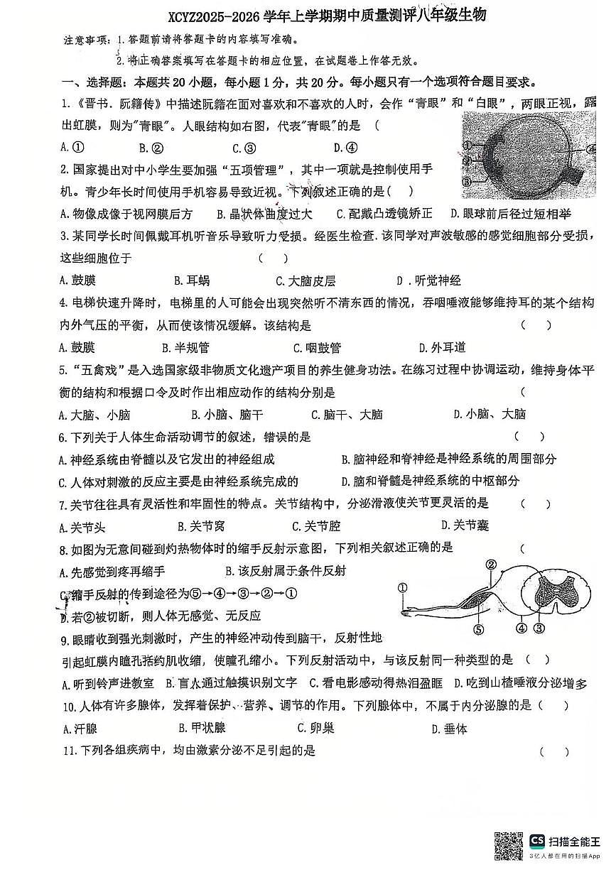 河南省许昌市第一中学2025-2026学年八年级上学期11月期中生物试题第1页