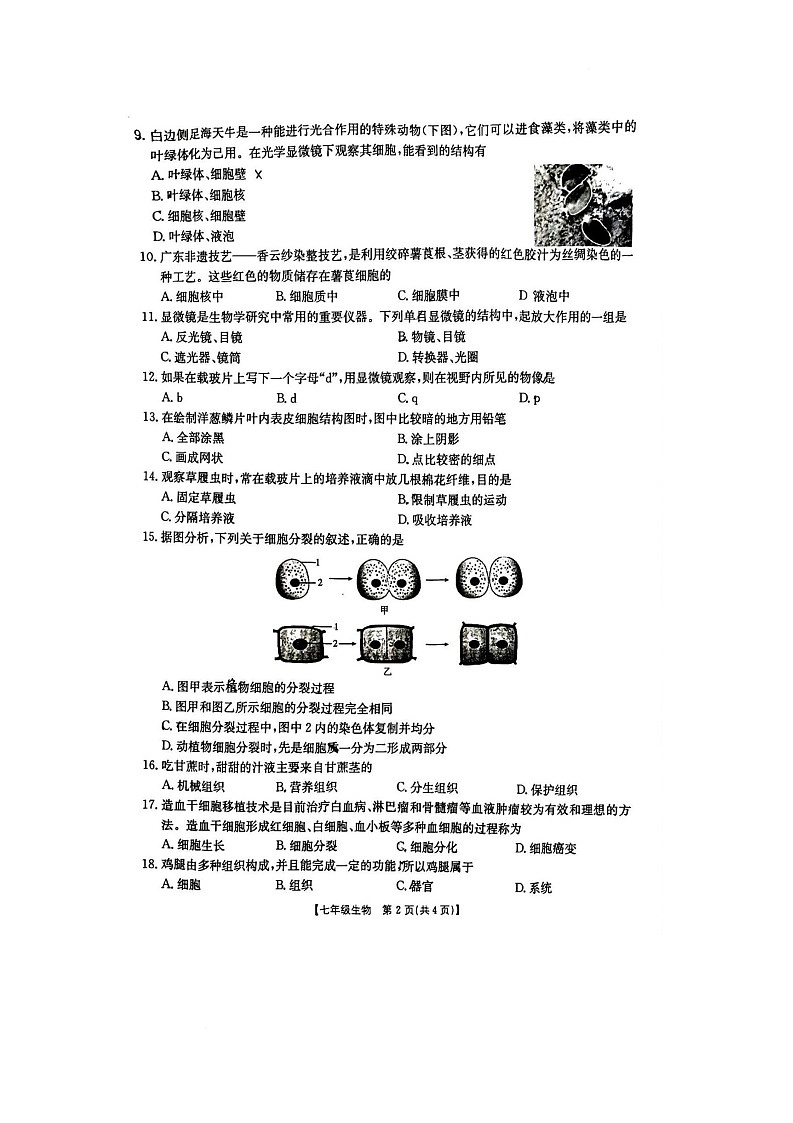 河南省新乡市延津县2025-2026学年七年级上学期11月期中生物试题第2页