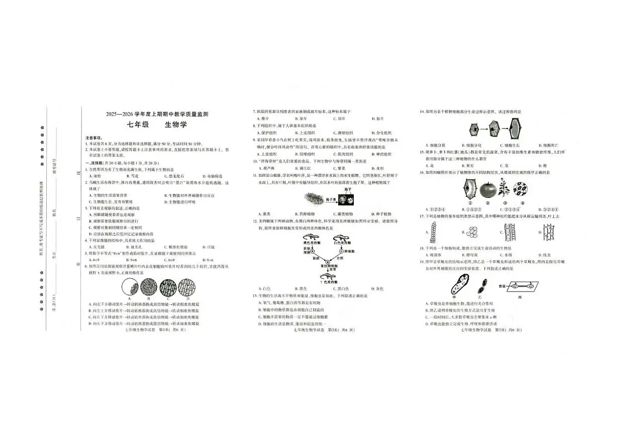 河南省信阳市固始县2025-2026学年七年级上学期11月期中生物试题第1页